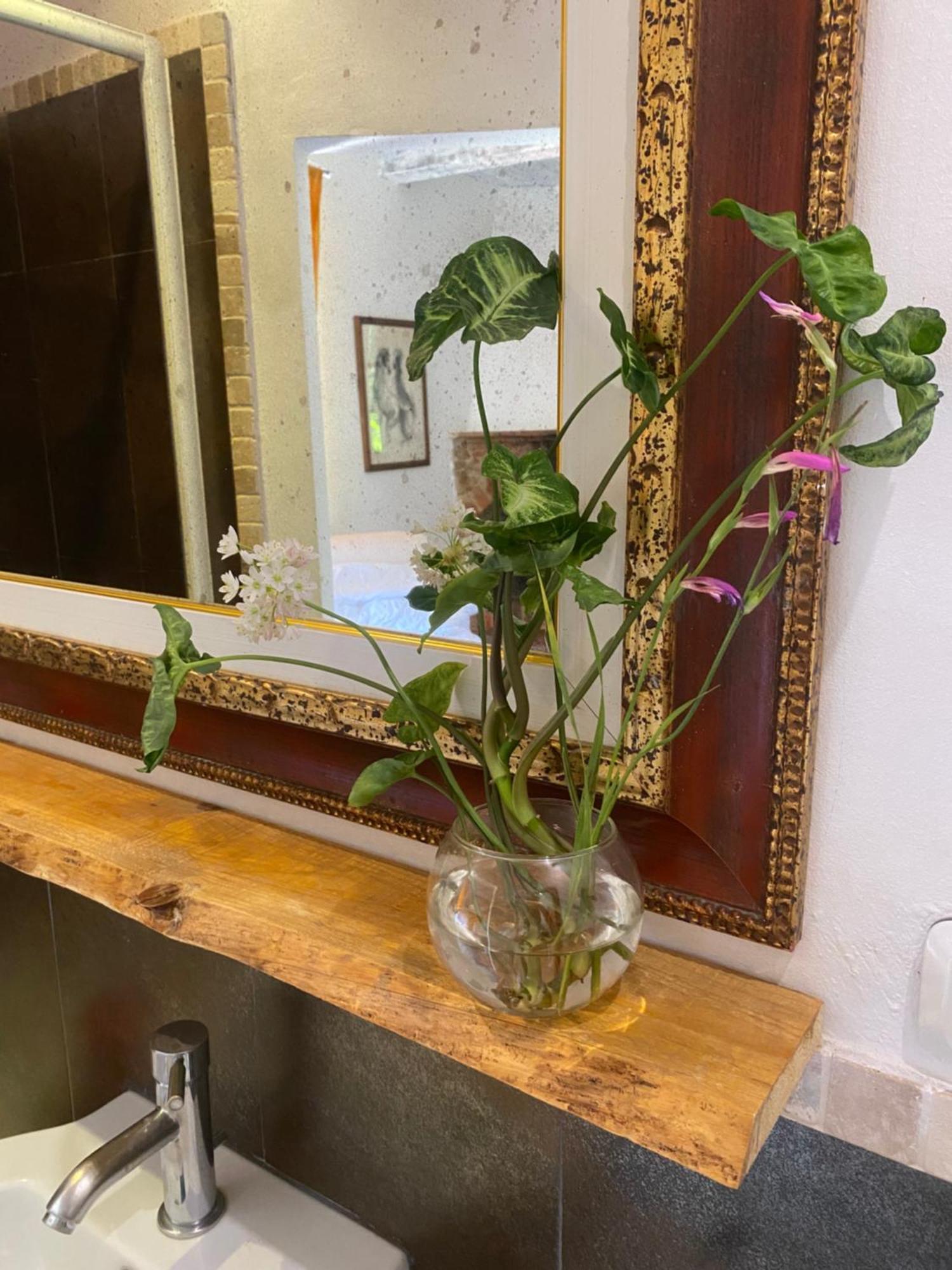 Agriturismo Nibbiano Montepulciano Stazione Εξωτερικό φωτογραφία